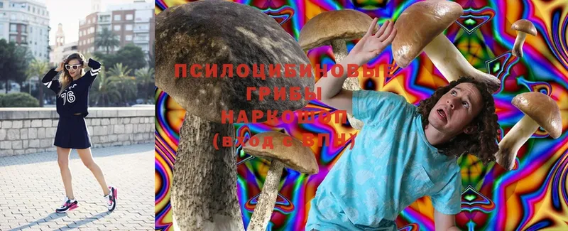 omg ССЫЛКА  Димитровград  Псилоцибиновые грибы Psilocybine cubensis 